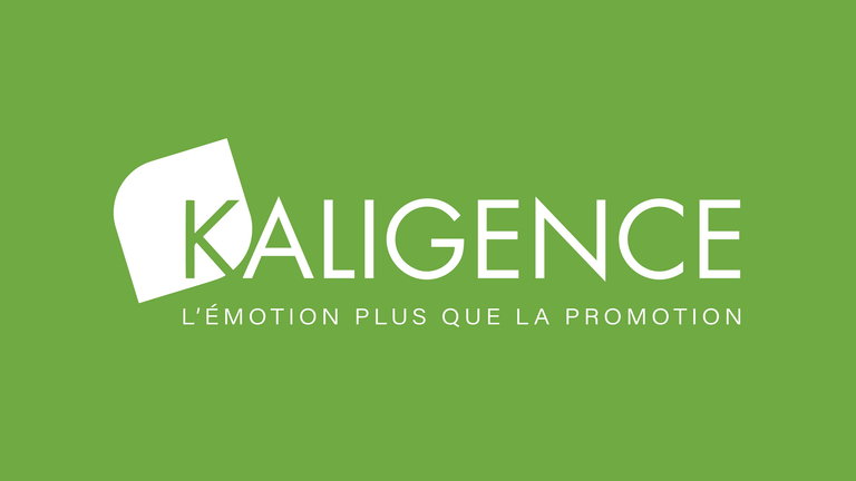 Agence sampling Île-de-France : pilotage et logistique depuis la région parisienne